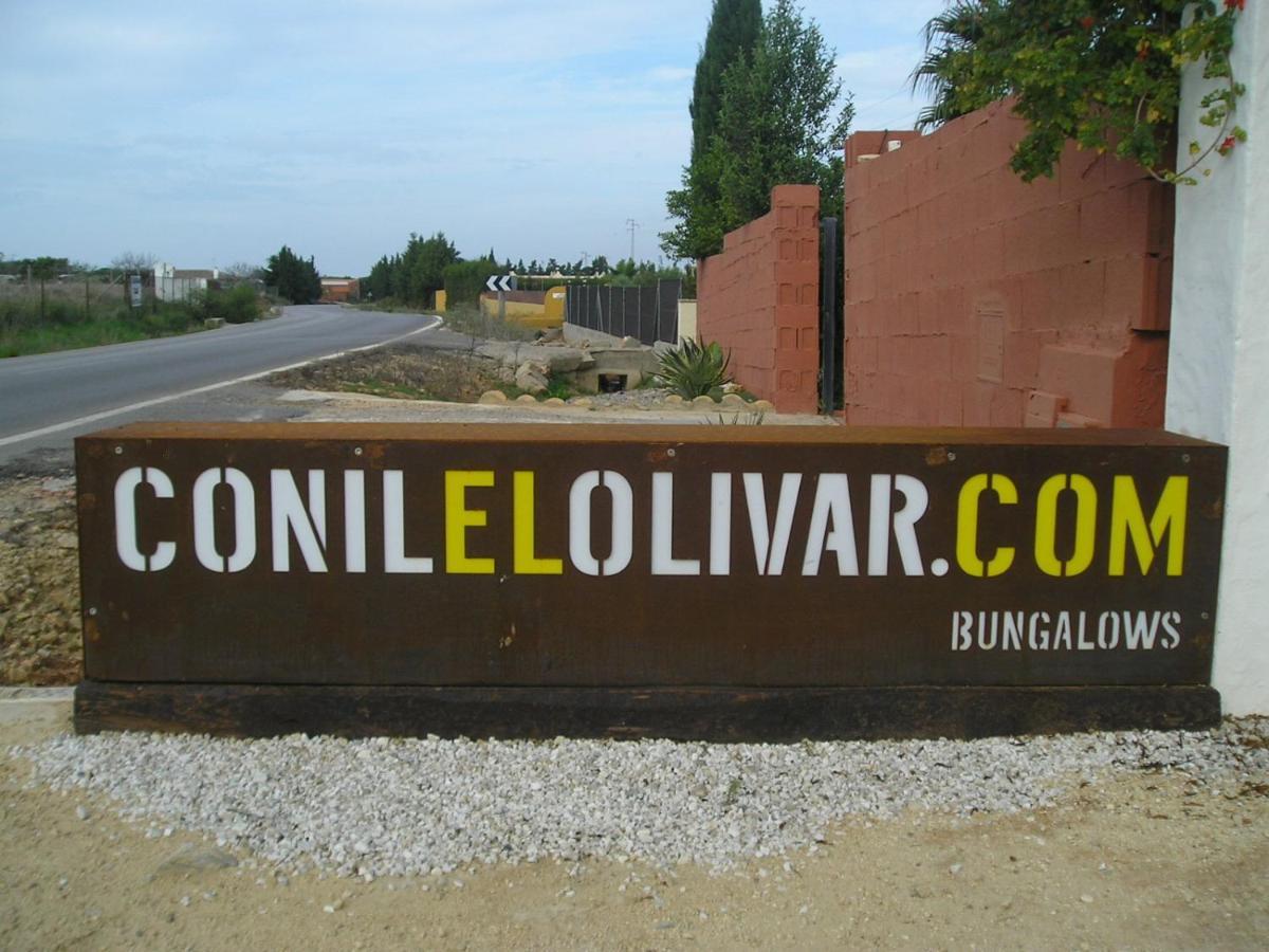 El Olivar de Roche Viejo Conil De La Frontera Exteriör bild