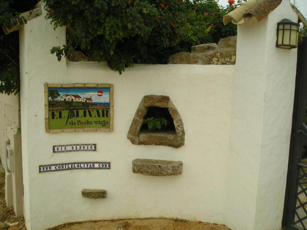 El Olivar de Roche Viejo Conil De La Frontera Exteriör bild