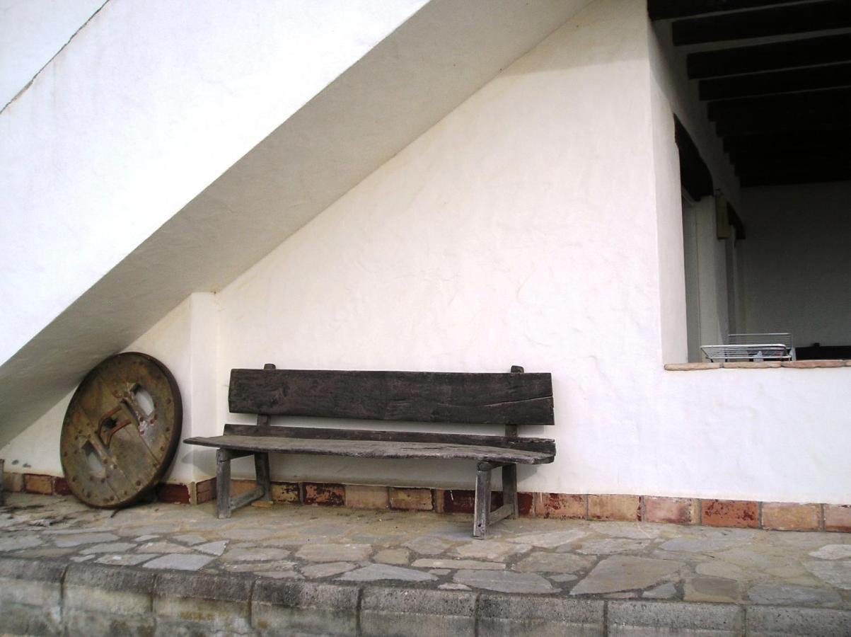 El Olivar de Roche Viejo Conil De La Frontera Exteriör bild
