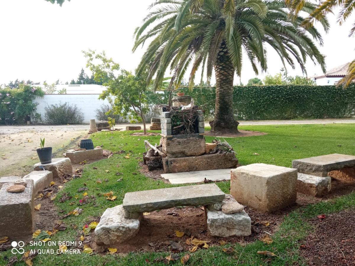 El Olivar de Roche Viejo Conil De La Frontera Exteriör bild
