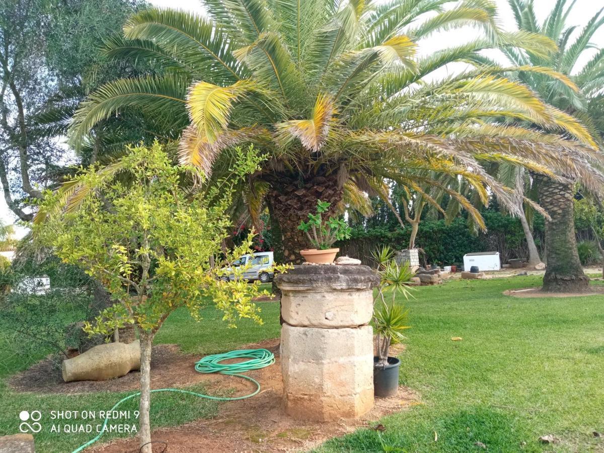 El Olivar de Roche Viejo Conil De La Frontera Exteriör bild
