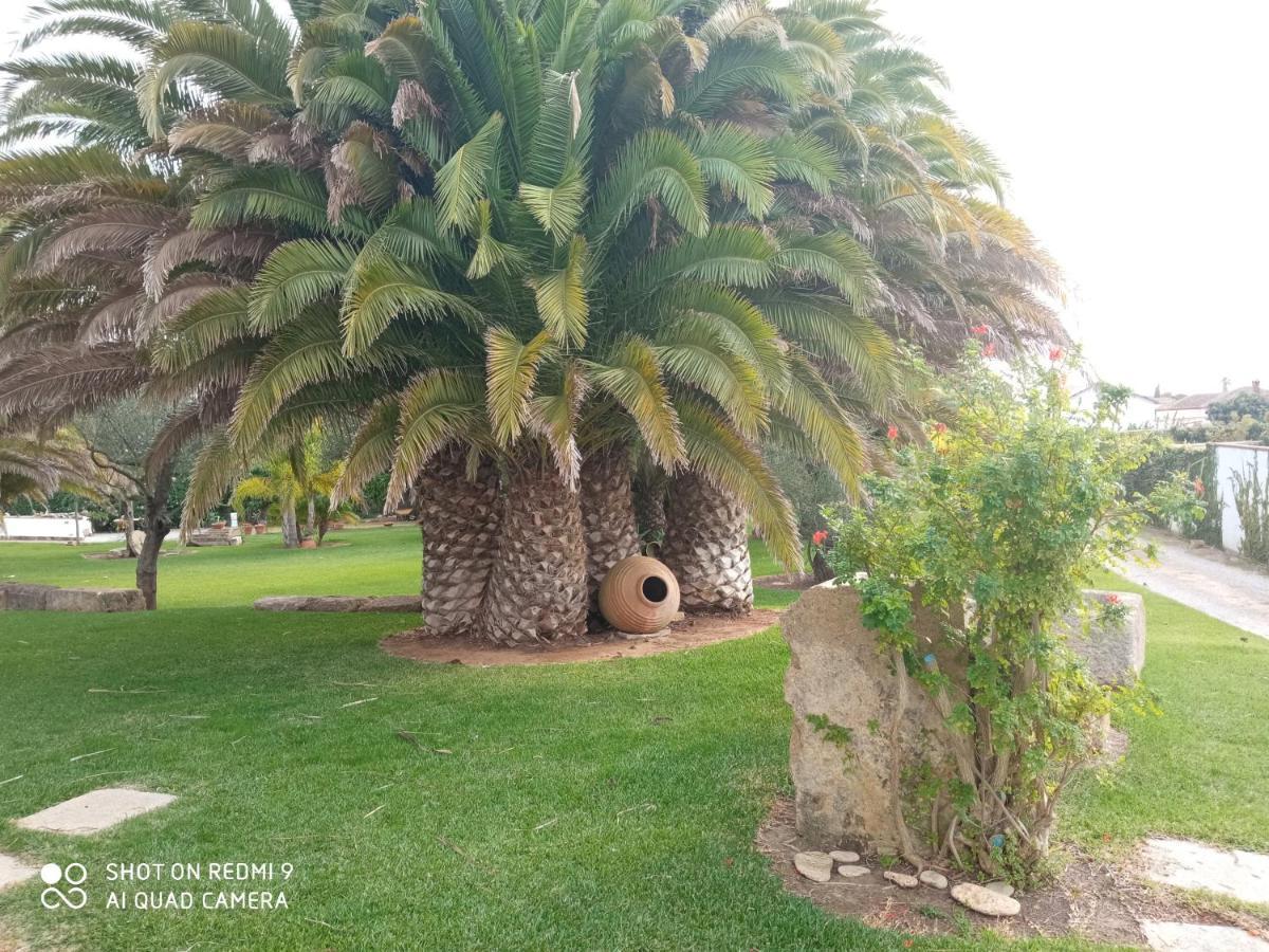 El Olivar de Roche Viejo Conil De La Frontera Exteriör bild