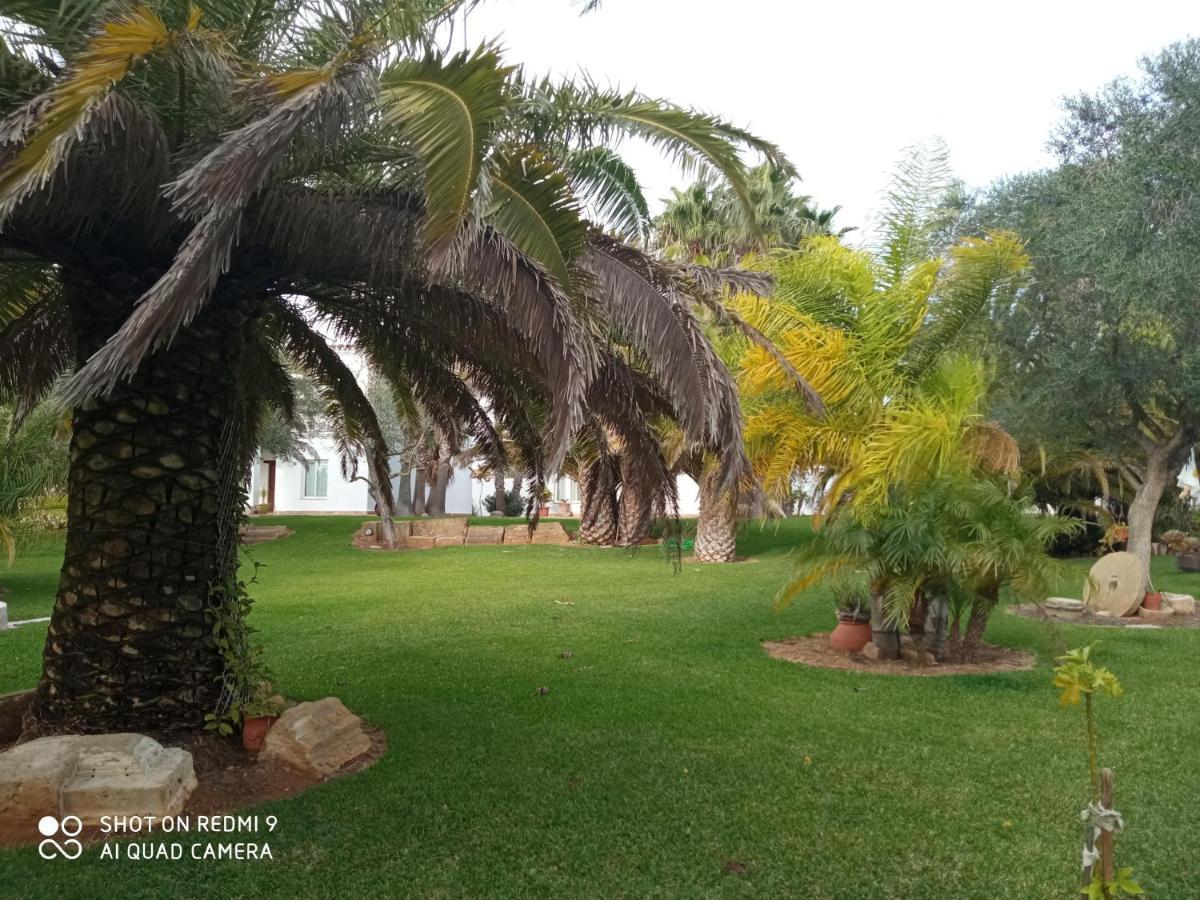 El Olivar de Roche Viejo Conil De La Frontera Exteriör bild