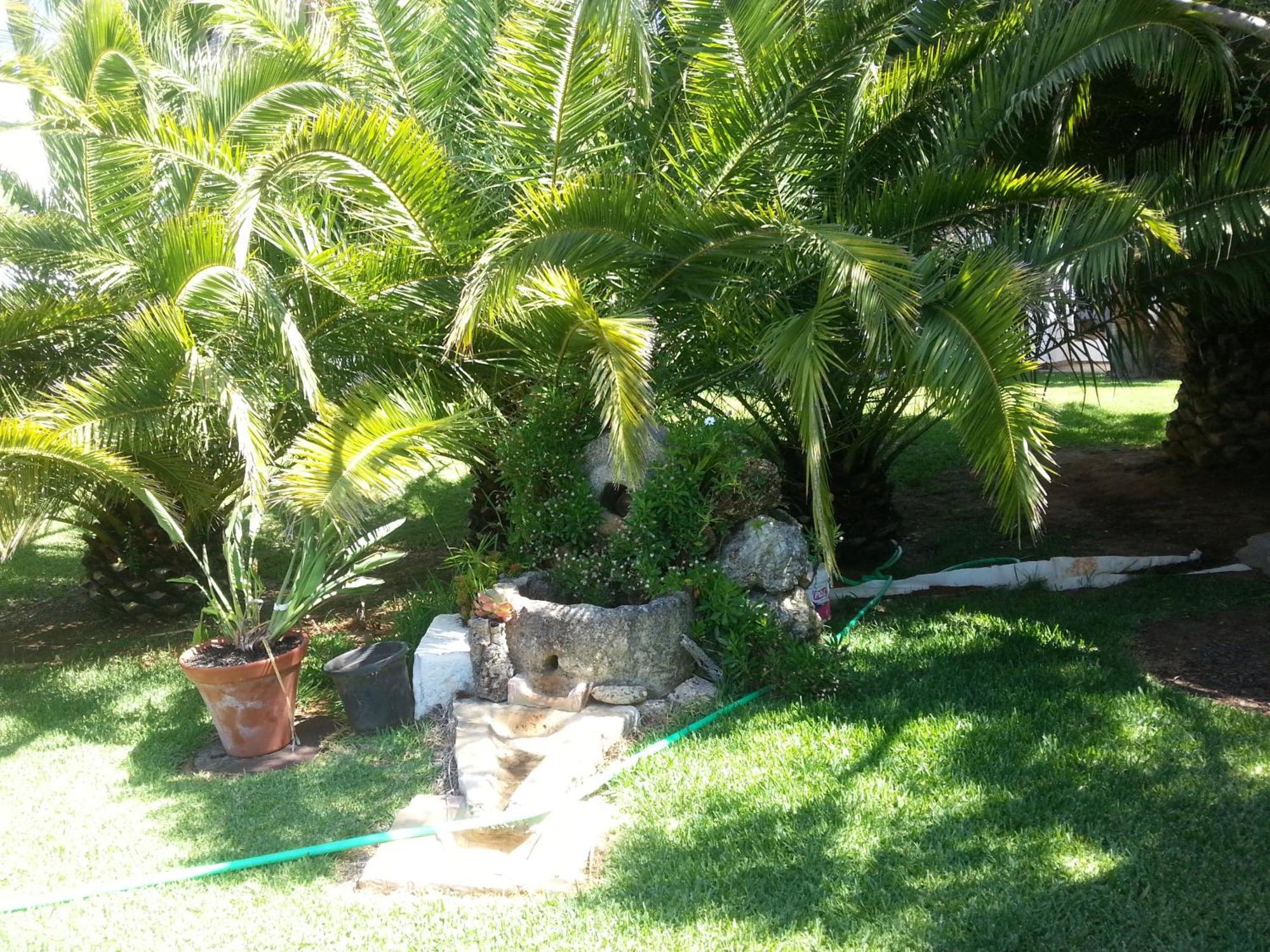 El Olivar de Roche Viejo Conil De La Frontera Rum bild