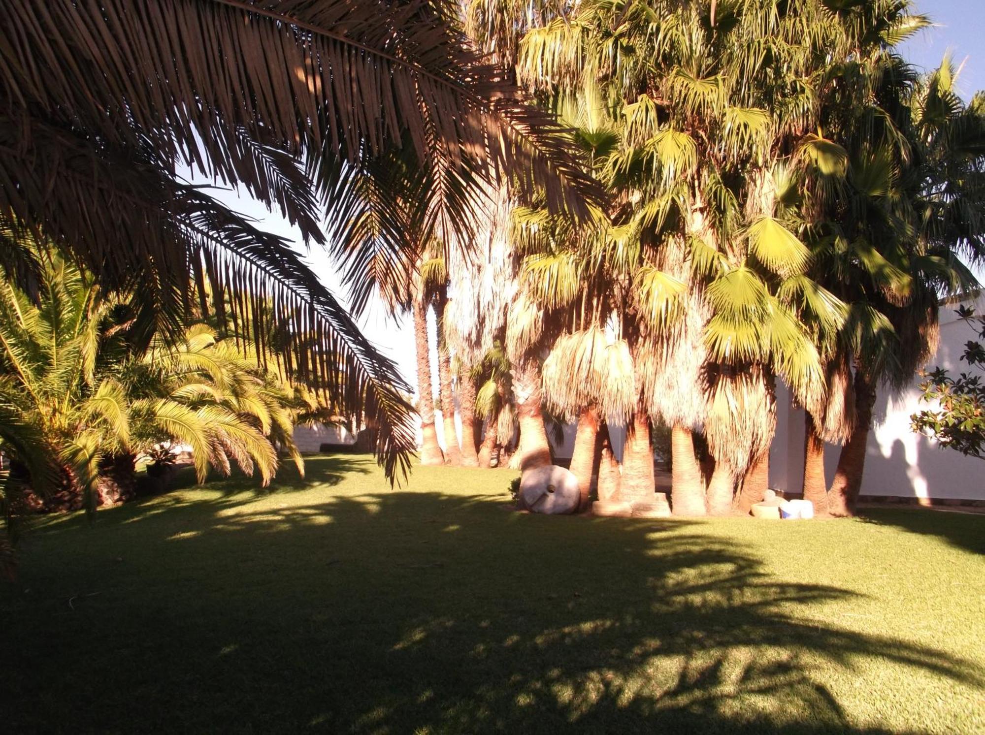 El Olivar de Roche Viejo Conil De La Frontera Exteriör bild