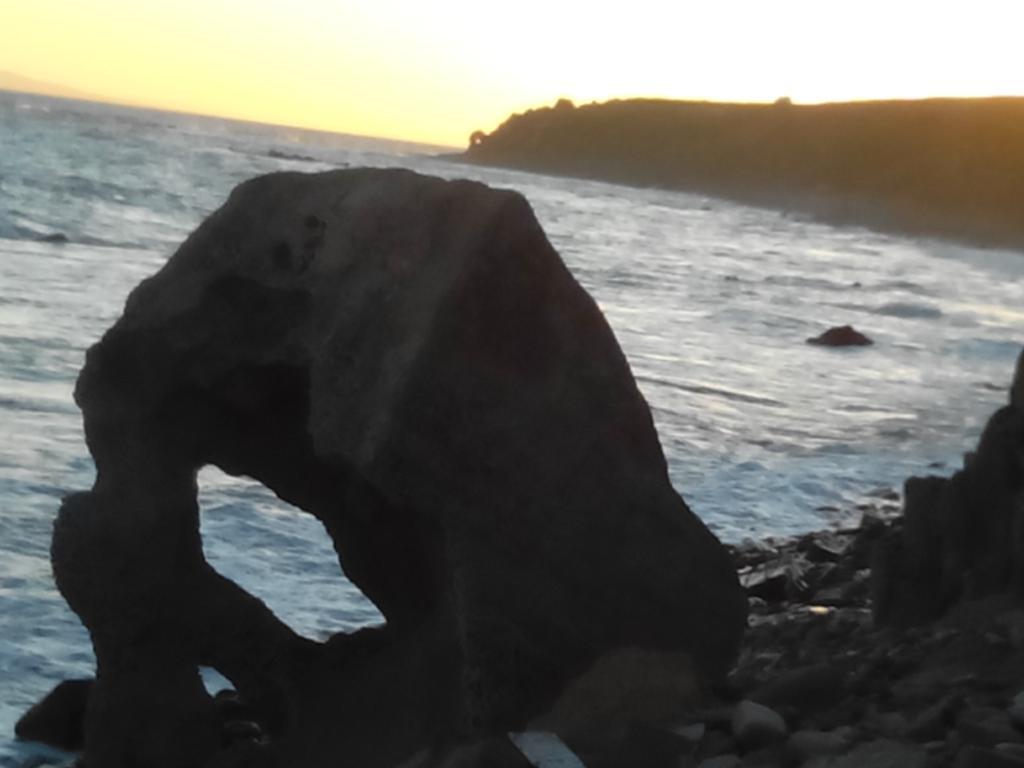 El Olivar de Roche Viejo Conil De La Frontera Exteriör bild
