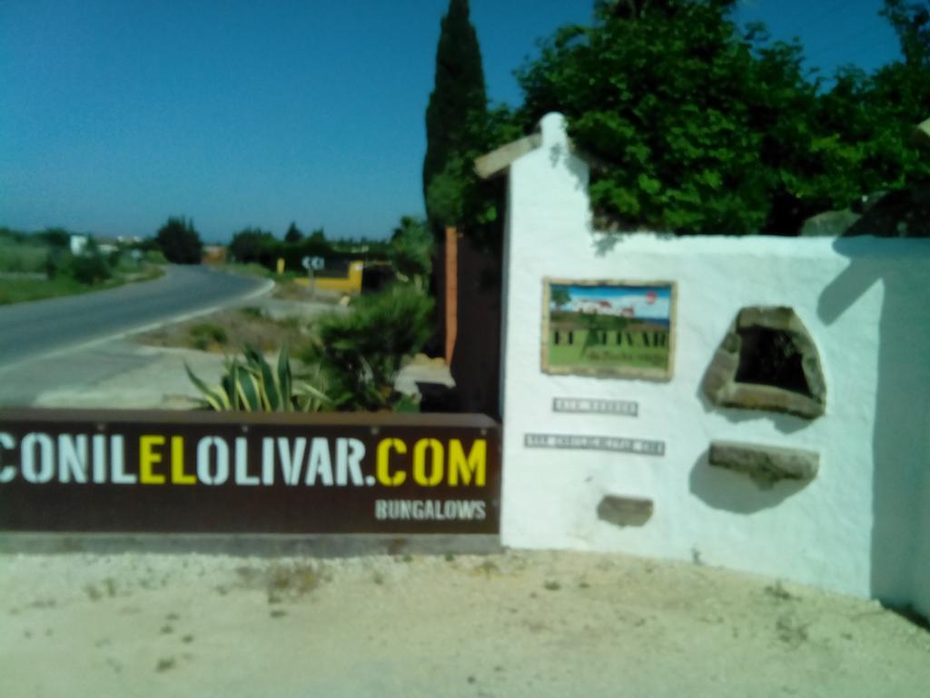 El Olivar de Roche Viejo Conil De La Frontera Exteriör bild
