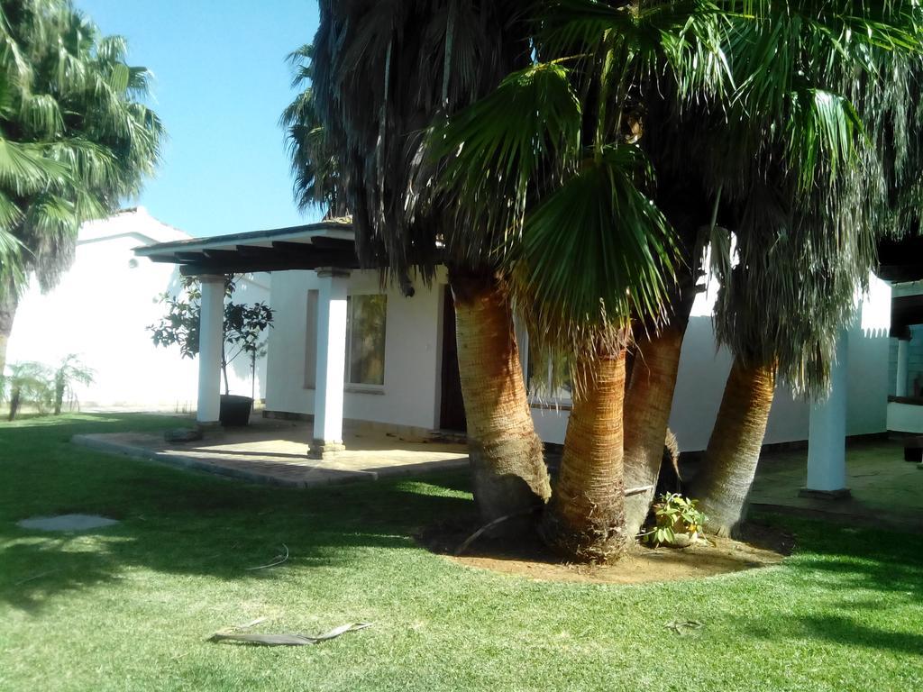El Olivar de Roche Viejo Conil De La Frontera Exteriör bild