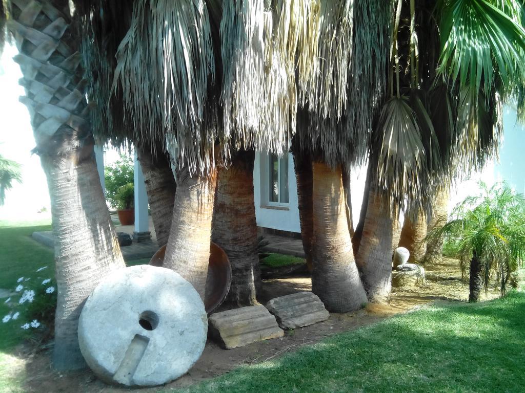 El Olivar de Roche Viejo Conil De La Frontera Exteriör bild