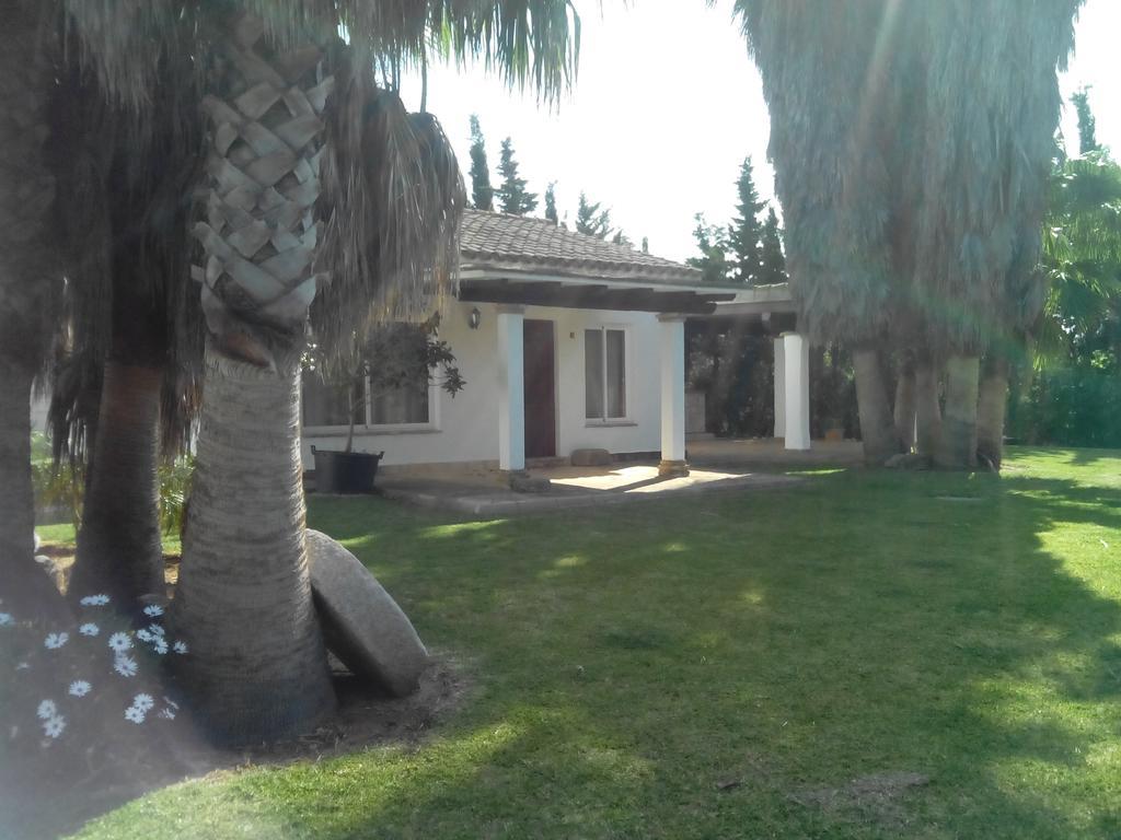 El Olivar de Roche Viejo Conil De La Frontera Exteriör bild