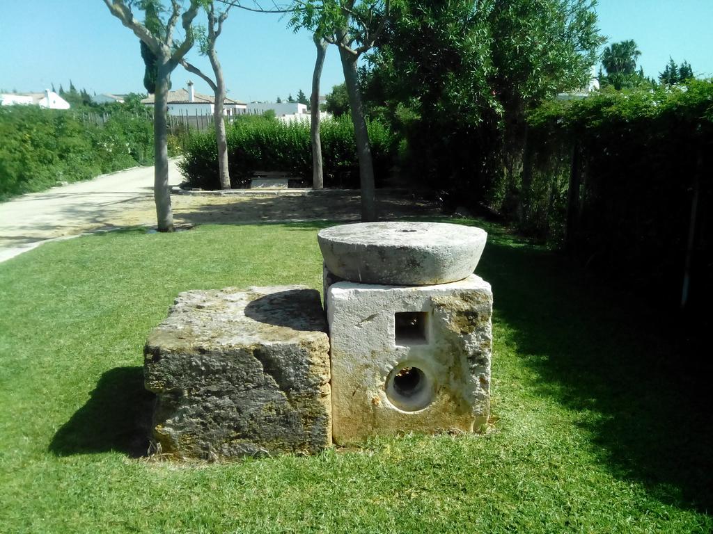 El Olivar de Roche Viejo Conil De La Frontera Exteriör bild
