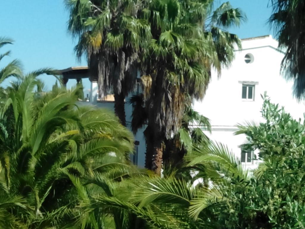 El Olivar de Roche Viejo Conil De La Frontera Exteriör bild