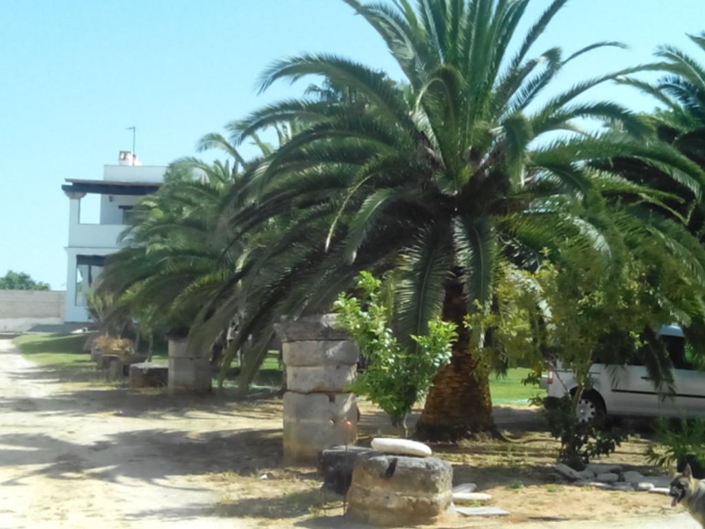 El Olivar de Roche Viejo Conil De La Frontera Exteriör bild