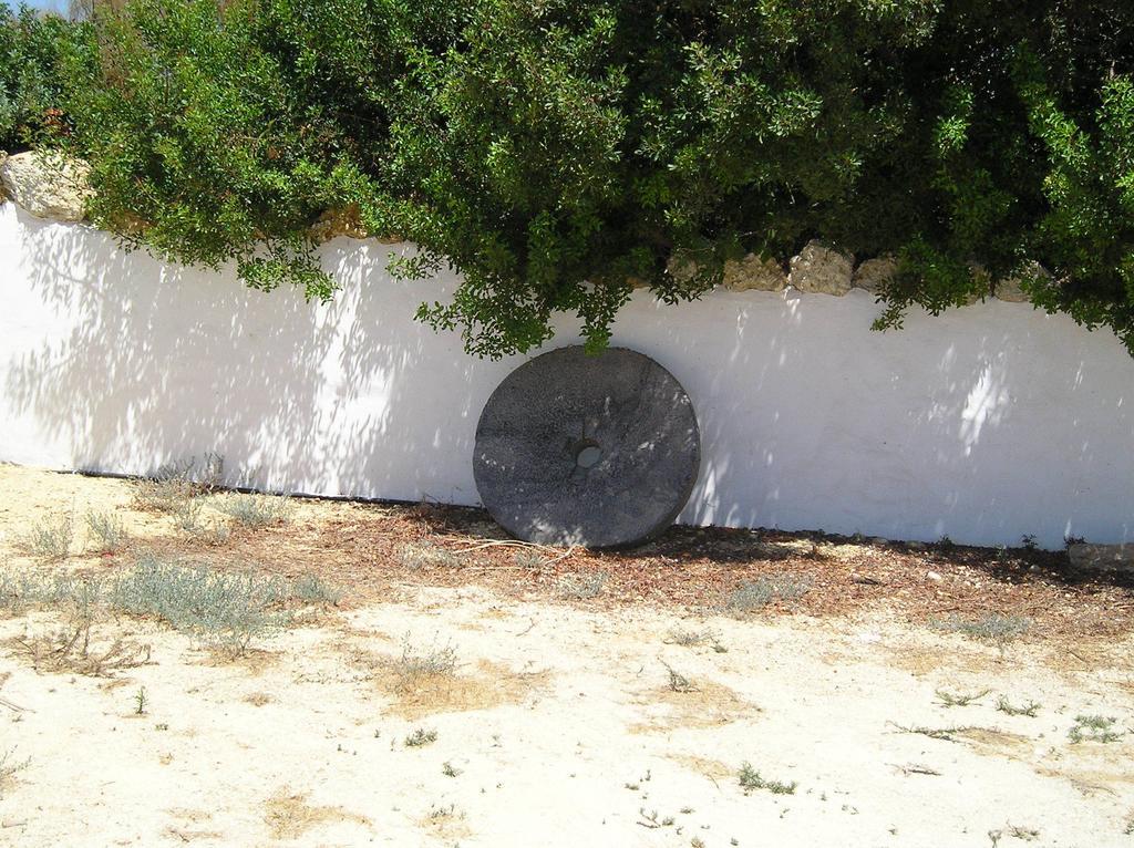 El Olivar de Roche Viejo Conil De La Frontera Exteriör bild