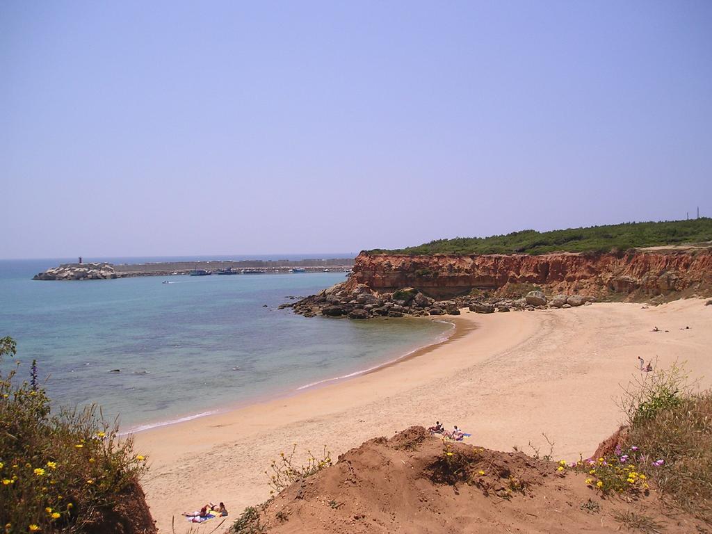 El Olivar de Roche Viejo Conil De La Frontera Exteriör bild