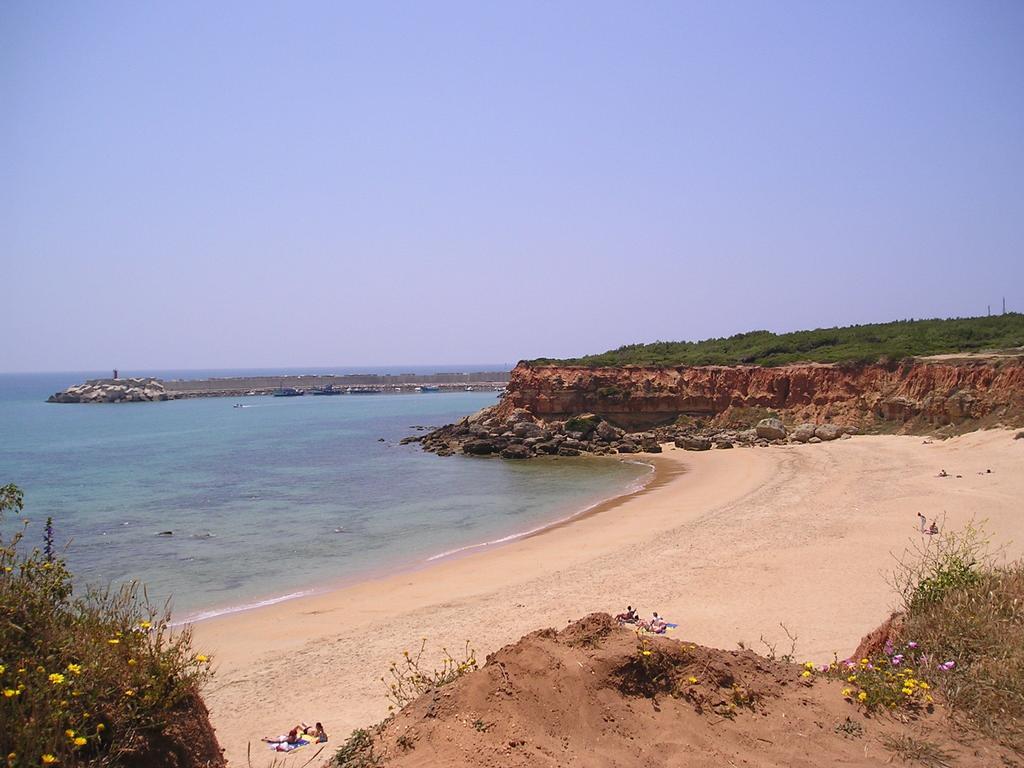 El Olivar de Roche Viejo Villa Conil De La Frontera Exteriör bild