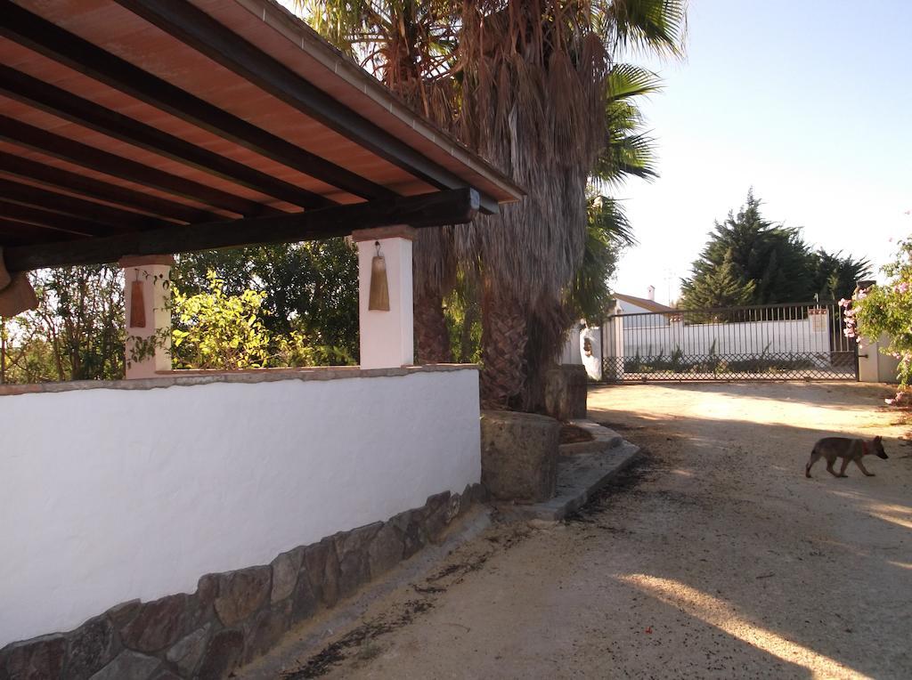 El Olivar de Roche Viejo Conil De La Frontera Exteriör bild