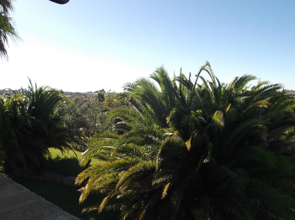 El Olivar de Roche Viejo Conil De La Frontera Exteriör bild