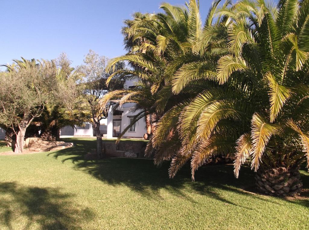 El Olivar de Roche Viejo Conil De La Frontera Exteriör bild