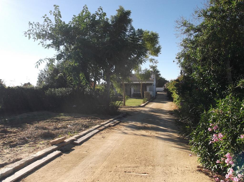 El Olivar de Roche Viejo Conil De La Frontera Exteriör bild